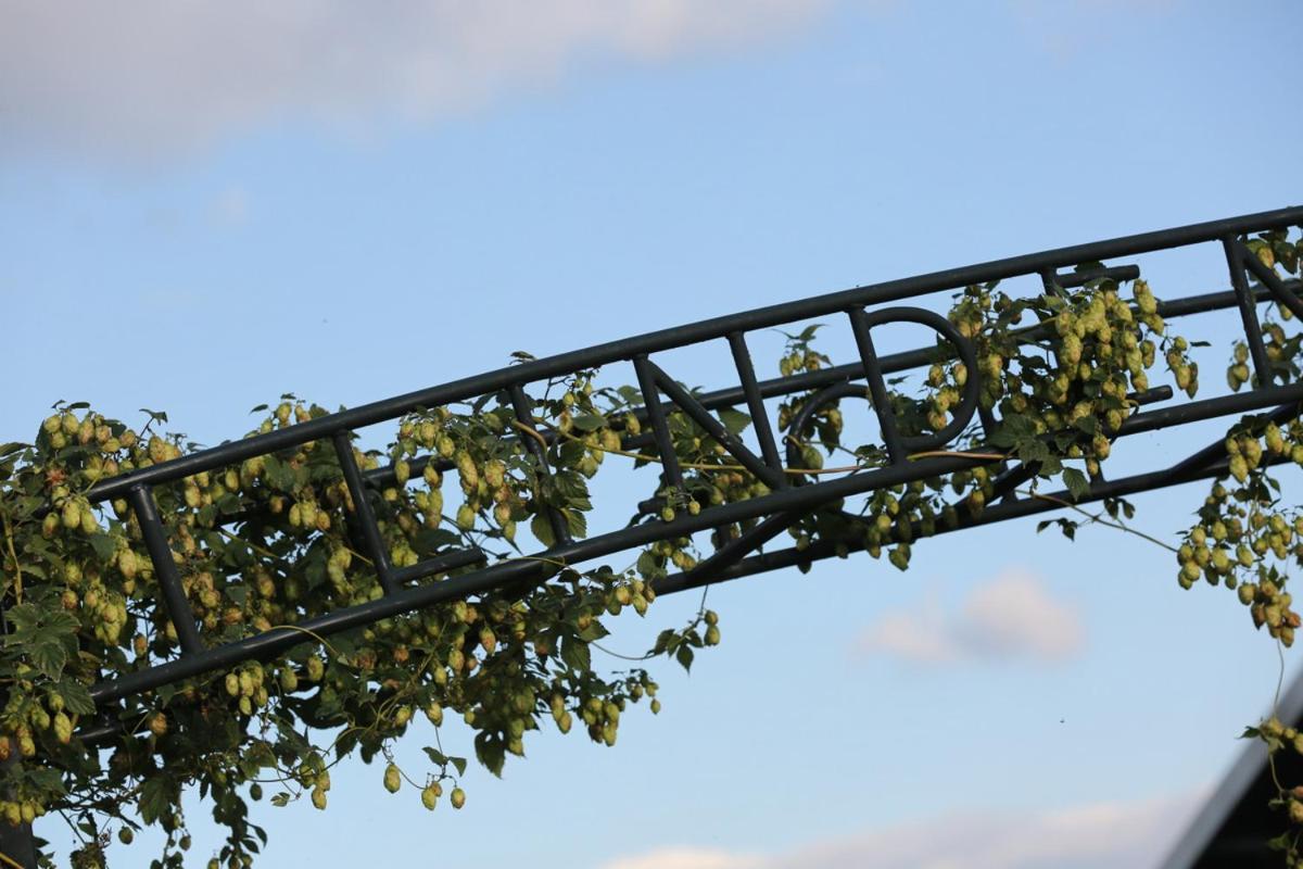 De Lindenhof Bed & Breakfast Tienhoven ภายนอก รูปภาพ